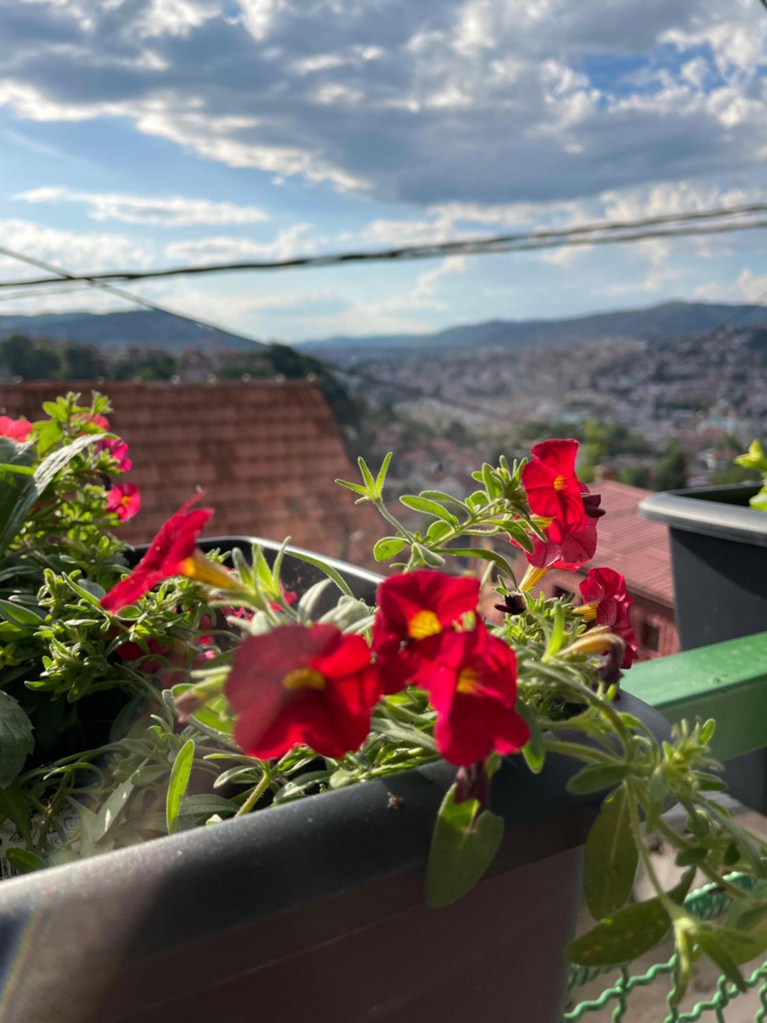 Sarajevo Cozy Attic Daire Dış mekan fotoğraf